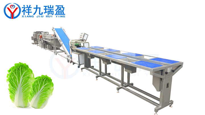 蔬菜加工设备-净菜加工线优势