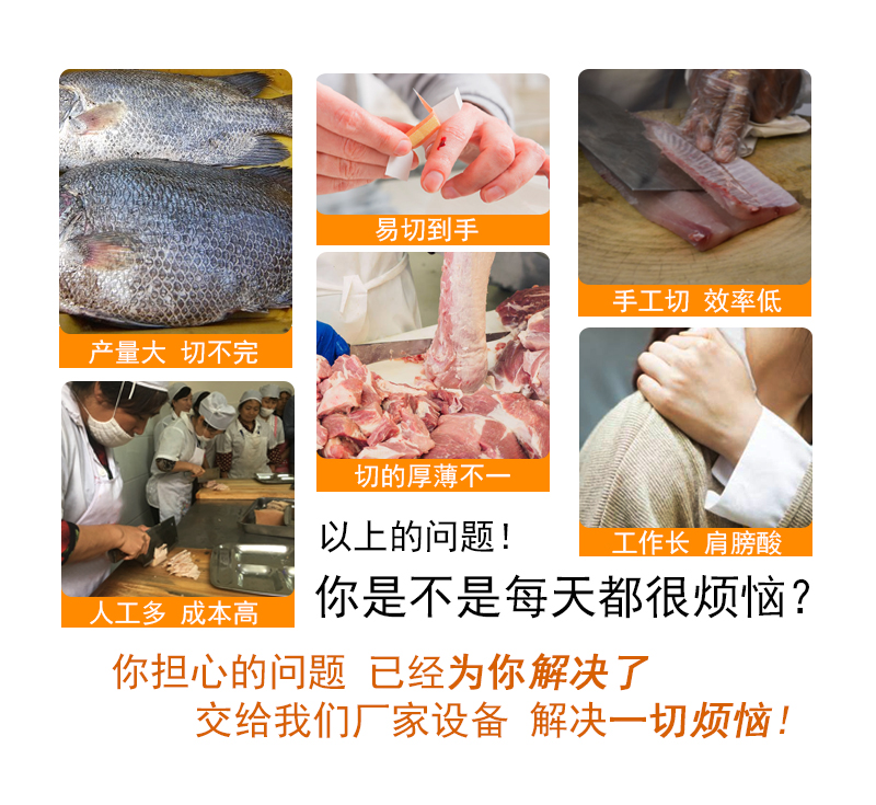 去鱼皮机