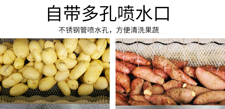 土豆脱皮机,土豆清洗脱皮机,土豆清洗机